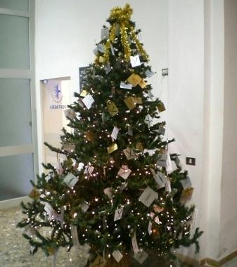 Lalbero di Natale delle polemiche a Santa Croce 