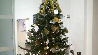 L’albero di Natale delle polemiche a Santa Croce