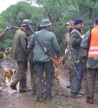 Furti dei cani, padroni pronti alle ronde