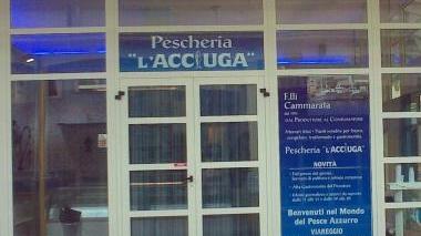 <b>CHI APRE E CHI CHIUDE.</b> La pescheria al Piazzone; Vodafone, lavori in via Garibaldi; in Passeggiata arriva l’erboristeria; chiude Lumiere