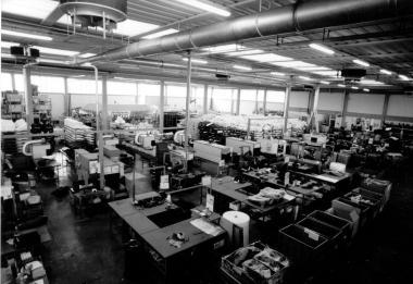 Unazienda della Lucchesia (foto darchivio)    