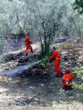 Vigili del fuoco impegnati nello spegnimento di un incendio 