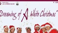 <b>BABBI NATALE.</b> La copertina di “Amaranto” con Bepi Pillon al centro fra sei giocatori