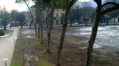 Gli spalti delle Mura diventati una distesa di fango e i pini intaccati alla base dalle ruspe