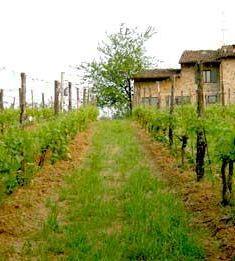 Unazienda agricola 