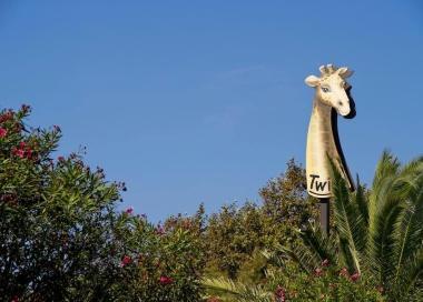 <b>DISCOTECA.</b> La giraffa del Twiga 