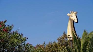<b>DISCOTECA.</b> La giraffa del Twiga
