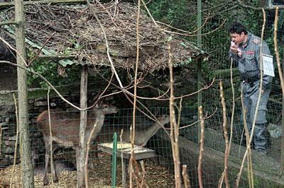 Dissequestrato il centro di Scienze naturali di Galceti