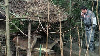 Dissequestrato il centro di Scienze naturali di Galceti