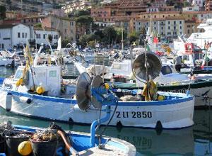 Porto Santo Stefano: cacciato l'assessore Busonero