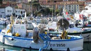 Porto Santo Stefano: cacciato l'assessore Busonero
