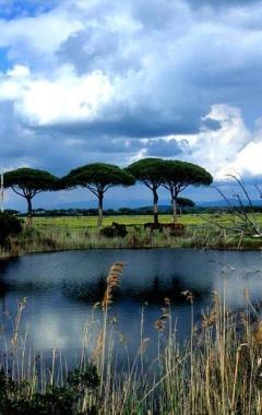 <b>PAESAGGI </b>di Maremma nelle foto di Federico Martini        