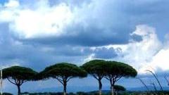 <b>PAESAGGI </b>di Maremma nelle foto di Federico Martini