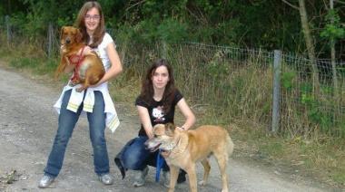 Le volontarie con due ospiti del canile di Donoratico 