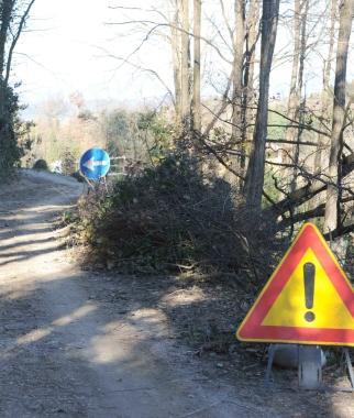 La frana che ha interessato via Dal Monte nella frazione di Treggiaia  