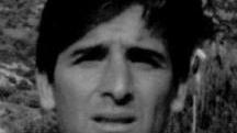 <b>MISTER</b>. Berni