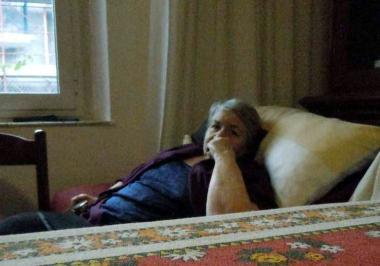 «Abbaiano di giorno e di notte»