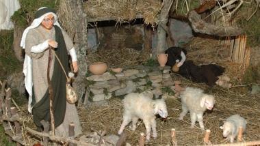 Unimmagine del presepe di Nicosia 