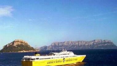 Una nave di Corsica Sardinia Ferries e la Primrose della società Blu Navy, le due compagnie sono in gara per l’assegnazione di quattro nuovi slot