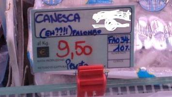 Ecco la curiosa etichetta che, a Livorno offriva la canesca come palombo