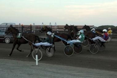 <b>TROTTO</b> Una corsa allippodromo dei Pini di Follonica    