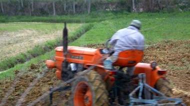 «Fitofarmaci utilizzati a norma di legge»
