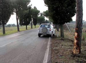 Con l'auto contro un albero, muore volterrano di 45 anni