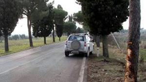 Con l'auto contro un albero, muore volterrano di 45 anni