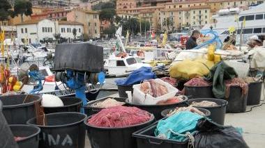 <b>RETI, </b>Ammassate sul molo: non si può pescare i bianchetti