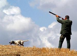 Cade durante la battuta di caccia e si ferisce con un colpo di fucile