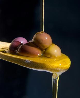 Anche l’olio elbano ha un bollino di qualità