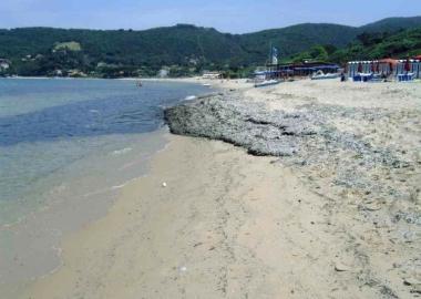 La spiaggia di Procchio  