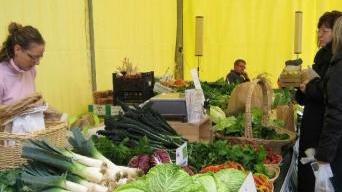 Una bancarella di Agripolis