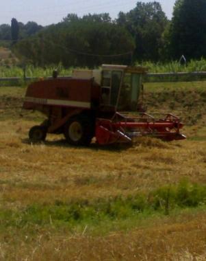 Al lavoro nei campi 