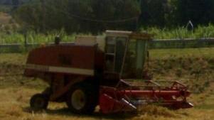 Al lavoro nei campi