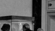 <b>IL MUSEO </b>di Vetulonia