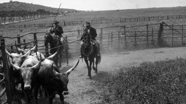 <b>MAREMMA COM’ERA </b>nelle foto dell’Archivio Gori