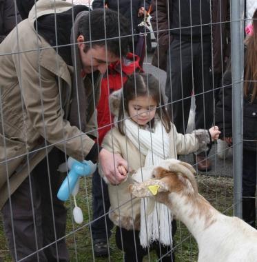 Bambina con una capretta la scorsa edizione della Fiera