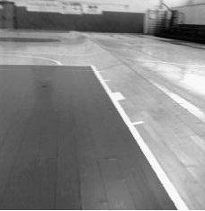 Il parquet allagato 