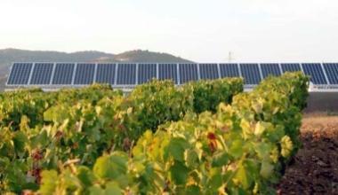 Boom del fotovoltaico, 50 connessioni in Val di Cornia nel 2010
