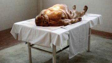 <b>INSTALLAZIONE.</b>La scultura di Accossato