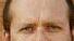 <b>IDV. </b>Stefano Rosini