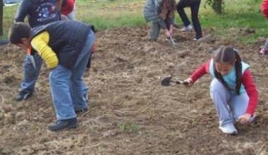 Bambini delle elementari al lavoro in un orto 