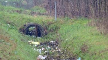 Due immagini dei rifiuti abbandonati lungo la via del Frizzone (Vip)