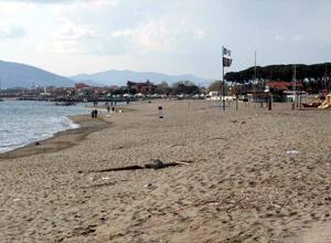Spiagge comunali una gestione che vale oltre 700mila euro