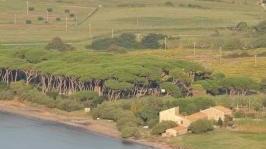 Il Golfo di Baratti