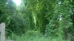 L’area del progetto del Parco S. Anna