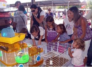 Torna la fiera degli animali