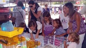 Torna la fiera degli animali