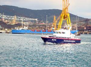 Pescavano le "ce'e", due denunciati a Castiglione della Pescaia